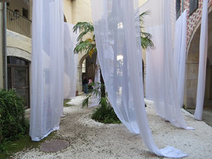 Temps de Flors 2019. Instal&middot;laci&oacute; floral a la Casa Pastors, a la pla&ccedil;a de la Catedral
