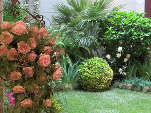 Temps de Flors 2019. Muntatges i instal&middot;lacions florals al Casino Giron&iacute;