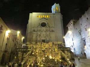 Temps de Flors 2019. Instal&middot;laci&oacute; 'El bosc de les flors' a les escales de la Catedral