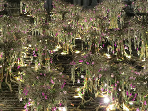Temps de Flors 2019. Instal&middot;laci&oacute; 'El bosc de les flors' a les escales de la Catedral