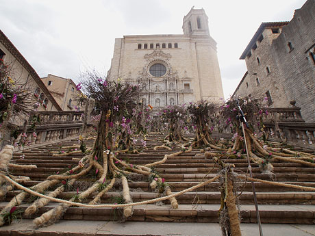Temps de Flors 2019. Instal&middot;laci&oacute; 'El bosc de les flors' a les escales de la Catedral