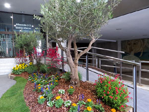 Temps de Flors 2019. Muntatges, instal&middot;lacions i exposicions florals a diversos indrets