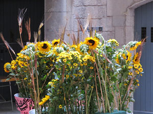 Temps de Flors 2019. Muntatges, instal&middot;lacions i exposicions florals a diversos indrets