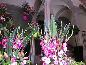 Temps de Flors 2019. Muntatges, instal&middot;lacions i exposicions florals a diversos indrets