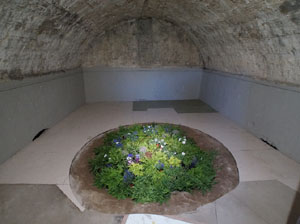 Temps de Flors 2019. Muntatges, instal&middot;lacions i exposicions florals a diversos indrets