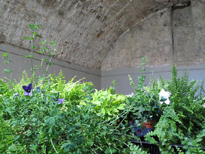 Temps de Flors 2019. Muntatges, instal&middot;lacions i exposicions florals a diversos indrets