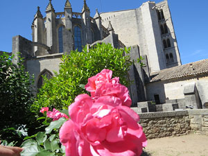 Temps de Flors 2019. Muntatges, instal&middot;lacions i exposicions florals a diversos indrets