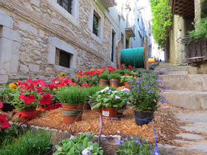 Temps de Flors 2019. Instal&middot;laci&oacute; a les Escales de la Pera