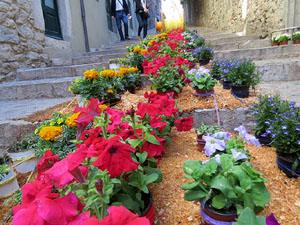 Temps de Flors 2019. Instal&middot;laci&oacute; a les Escales de la Pera