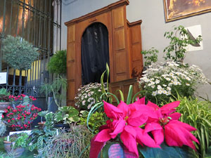 Temps de Flors 2019. Decoracions florals als diversos espais de l'Esgl&eacute;sia dels Dolors