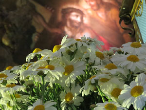 Temps de Flors 2019. Decoracions florals als diversos espais de l'Esgl&eacute;sia dels Dolors