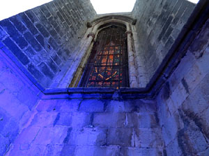 Temps de Flors 2019. Muntatges florals al Fossat de l'absis de la Catedral