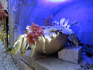 Temps de Flors 2019. Muntatges florals al Fossat de l'absis de la Catedral