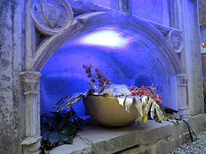 Temps de Flors 2019. Muntatges florals al Fossat de l'absis de la Catedral