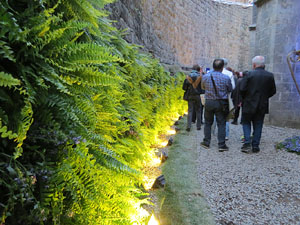 Temps de Flors 2019. Muntatges florals al Fossat de l'absis de la Catedral