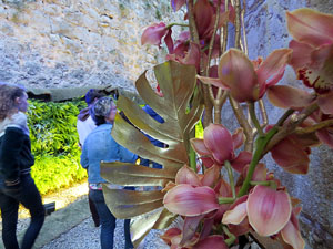 Temps de Flors 2019. Muntatges florals al Fossat de l'absis de la Catedral