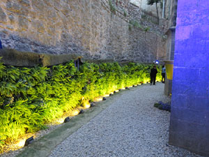Temps de Flors 2019. Muntatges florals al Fossat de l'absis de la Catedral