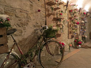 Temps de Flors 2019. Instal&middot;lacions i muntatges a Germanes Maria Gay, al carrer de la For&ccedil;a