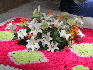 Temps de Flors 2019. Instal&middot;laci&oacute; floral Memorial Mahatma Gandhi al soterrani II de la Torre Gironella