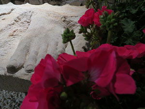 Temps de Flors 2019. Instal&middot;laci&oacute; floral Memorial Mahatma Gandhi al soterrani II de la Torre Gironella