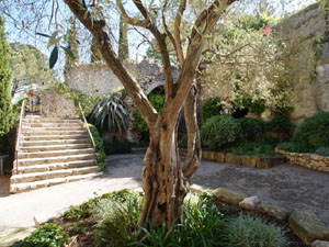 Temps de Flors 2019. Instal&middot;laci&oacute; floral Memorial Mahatma Gandhi al soterrani II de la Torre Gironella