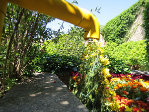 Temps de Flors 2019. Muntatges florals al Jard&iacute; de l'&Agrave;ngel