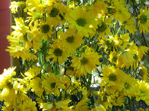 Temps de Flors 2019. Muntatges florals al Jard&iacute; de l'&Agrave;ngel