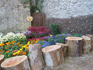 Temps de Flors 2019. Muntatges florals als Jardins del Campaner