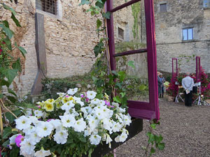 Temps de Flors 2019. Muntatges florals als Jardins del Campaner