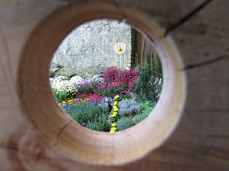 Temps de Flors 2019. Muntatges florals als Jardins del Campaner