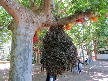Temps de Flors 2019.Instal&middot;lacions i muntatges als Jardins de la Devesa