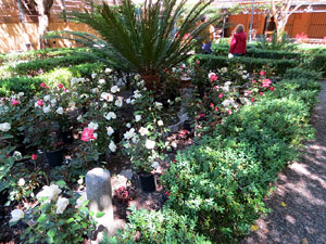Temps de Flors 2019. Instal&middot;lacions i muntatges florals als Jardins de la Merc&egrave;