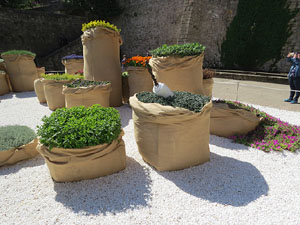 Temps de Flors 2019. Instal&middot;lacions i muntatges florals a la Pla&ccedil;a dels Jurats
