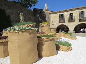 Temps de Flors 2019. Instal&middot;lacions i muntatges florals a la Pla&ccedil;a dels Jurats