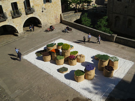Temps de Flors 2019. Instal&middot;lacions i muntatges florals a la Pla&ccedil;a dels Jurats