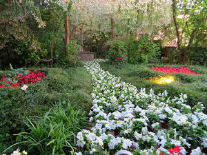 Temps de Flors 2019. Muntatges florals a la Casa Lle&oacute; Avinay