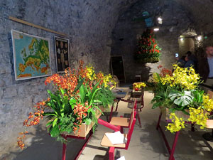 Temps de Flors 2019. Instal&middot;lacions als espais del Museu d'Hist&ograve;ria La Carbonera i La Cisterna