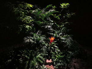 Temps de Flors 2019. Instal&middot;lacions als espais del Museu d'Hist&ograve;ria La Carbonera i La Cisterna