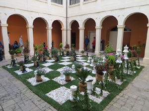 Temps de Flors 2019. Muntatges i instal&middot;lacions florals al claustre del Museu d'Hist&ograve:ria