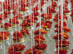 Temps de Flors 2019. Instal&middot;laci&oacute; floral a la terrassa i l'assecador del Museu d'Hist&ograve;ria