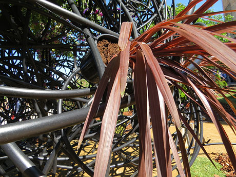 Temps de Flors 2019. Muntatges i instal&middot;lacions florals al Mirador del carrer de les Dones
