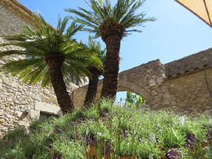 Temps de Flors 2019. Instal&middot;lacions florals als espais del Museu d'Art