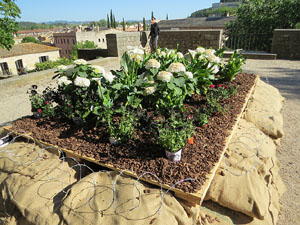 Temps de Flors 2019. Instal&middot;lacions i decoracions florals als diversos espais del Passeig Arqueol&ograve;gic