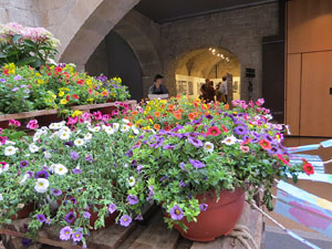 Temps de Flors 2019. Instal&middot;laci&oacute; a la Pia Almoina - Col&middot;legi d�Arquitectes