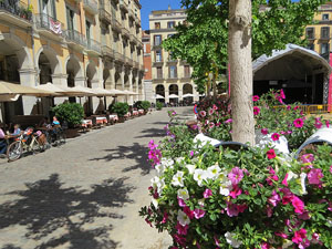 Temps de Flors 2019. Instal&middot;lacions i muntatges a la Pla&ccedil;a de la Independ&egrave;ncia