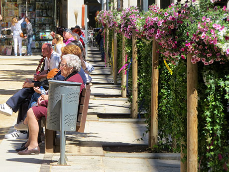 Temps de Flors 2019.Instal&middot;lacions i muntatges a la Pla&ccedil;a de la Independ&egrave;ncia