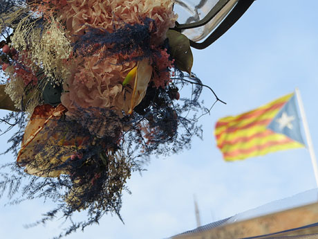 Temps de Flors 2019. Instal&middot;lacions florals als Ponts de l'Onyar