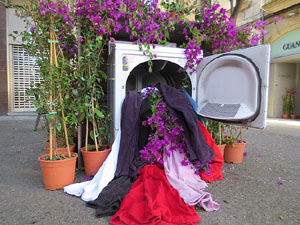 Temps de Flors 2019. Instal&middot;lacions i muntatges florals a l'Antiga Rambla Verdaguer