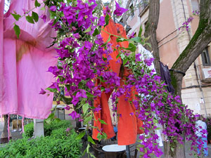 Temps de Flors 2019. Instal&middot;lacions i muntatges florals a l'Antiga Rambla Verdaguer