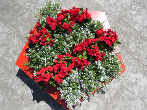 Temps de Flors 2019. Instal&middot;lacions i muntatges a la rotonda del rellotge de la Devesa